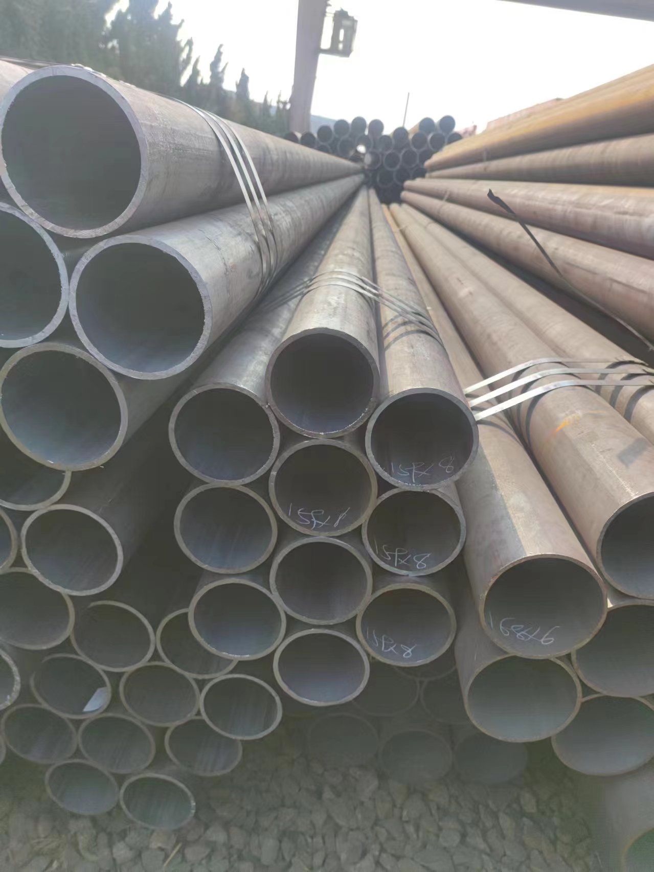 微信圖片_20240507150707.jpg 微信圖片_20240507150707.jpg